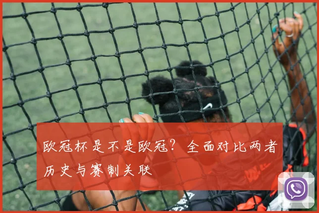 欧冠杯是不是欧冠？全面对比两者历史与赛制关联
